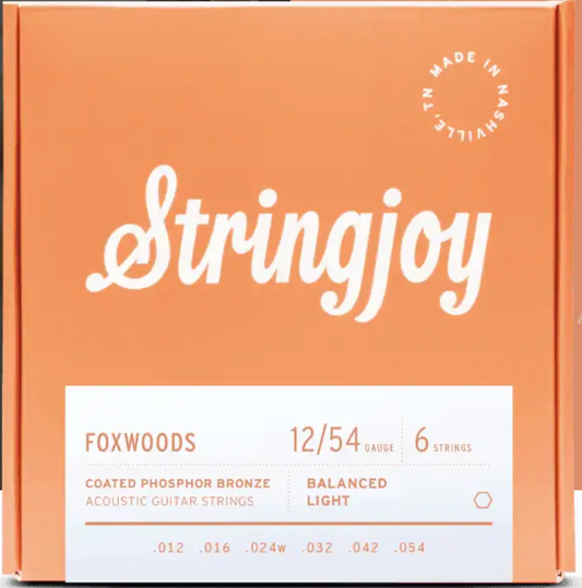 Premium Acoustic Guitar Strings (NO SHIPPING)